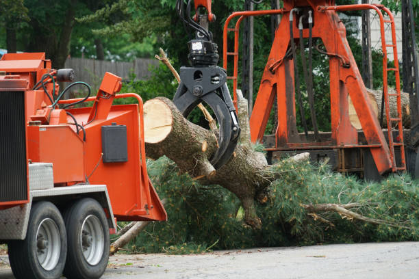 Lawn Watering Services in Monson Center, MA